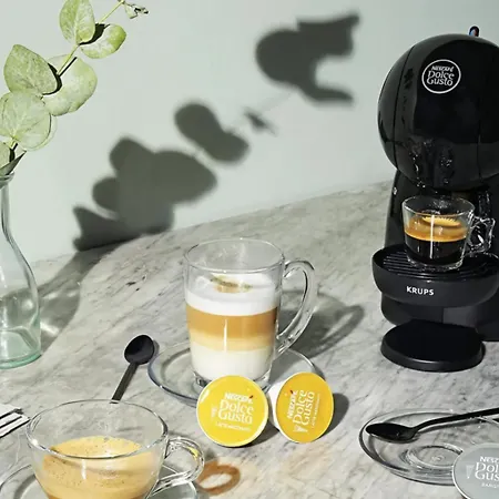 Salvado Spg Mar De Conil Conil De La Frontera